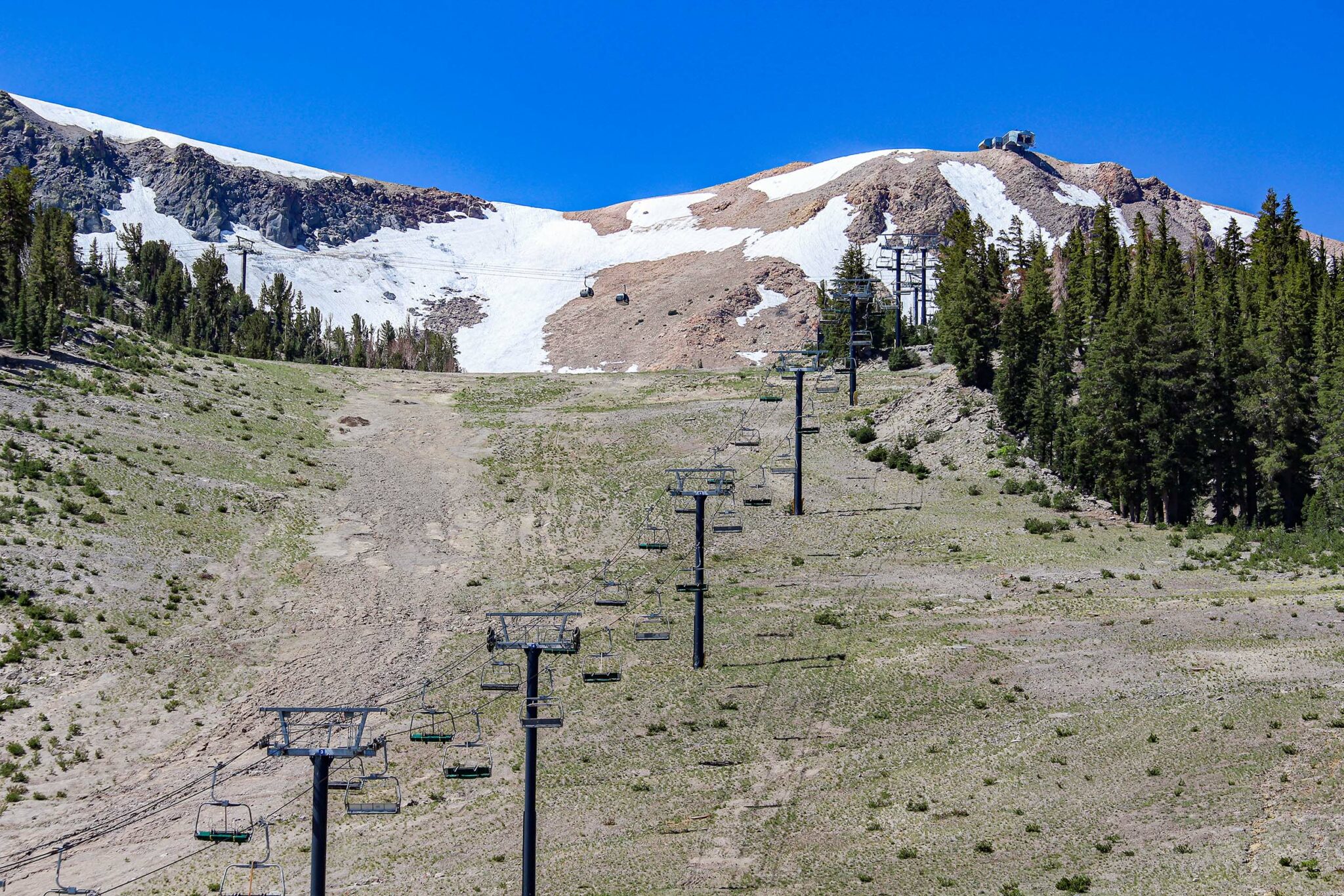 Stump Alley - 6-26-2024 - Mammoth Mountain Ski Area